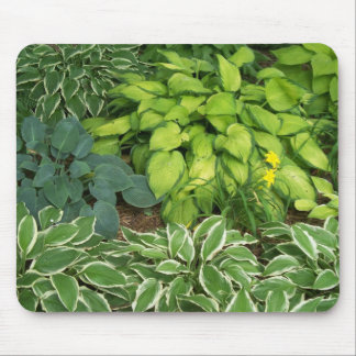 Alfombrilla De Ratón Hosta