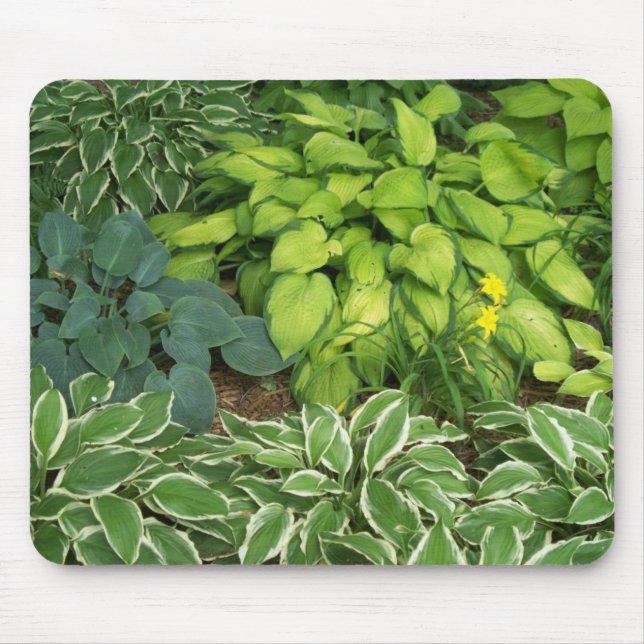 Alfombrilla De Ratón Hosta (Frente)