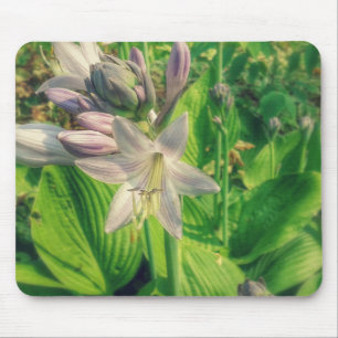 Alfombrilla De Ratón Hosta