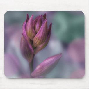 Alfombrilla De Ratón Hosta Flor Bud Púrpura Y Verde