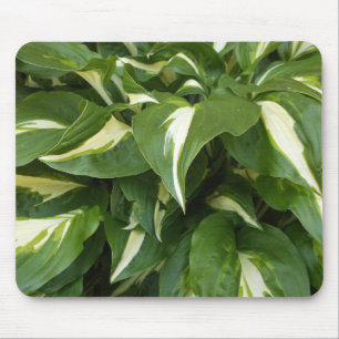 Alfombrilla De Ratón Hosta Leaves