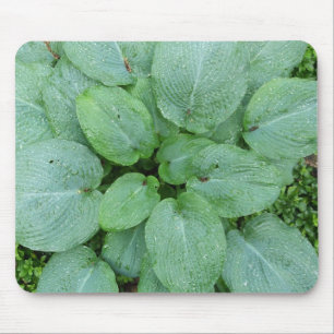 Alfombrilla De Ratón Hosta Mousepad