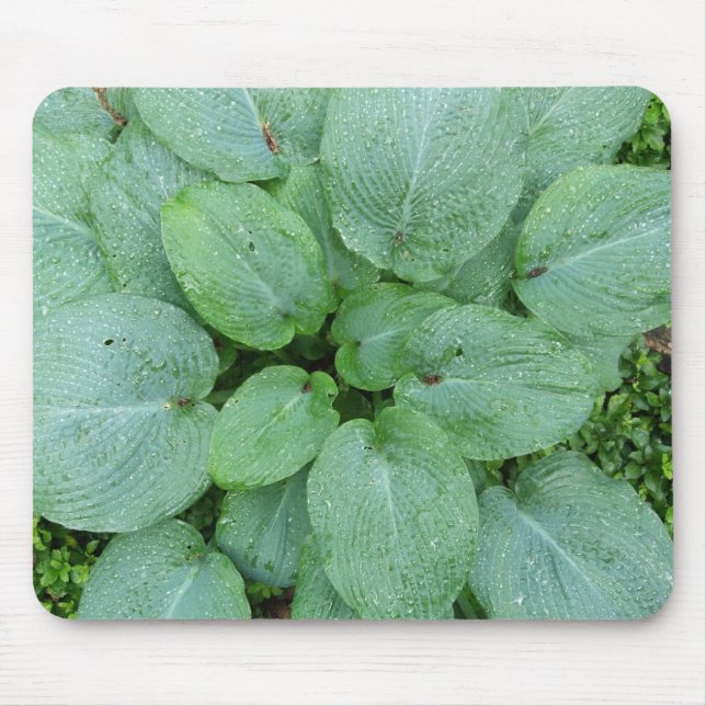 Alfombrilla De Ratón Hosta Mousepad (Frente)