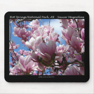 Alfombrilla De Ratón Hot Springs National Park AR Platillo Magnolia Reg