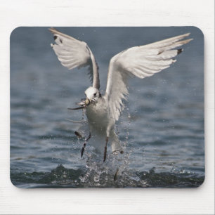 Alfombrilla De Ratón Hovering Kittiwake