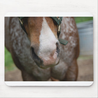 Alfombrilla De Ratón ¡Howdy!