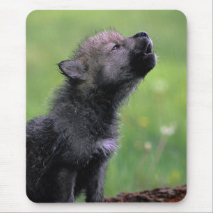 Alfombrilla De Ratón Howling Wolf Cub