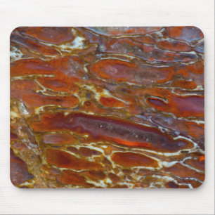 Alfombrilla De Ratón Hueso Petrificado de dinosaurio