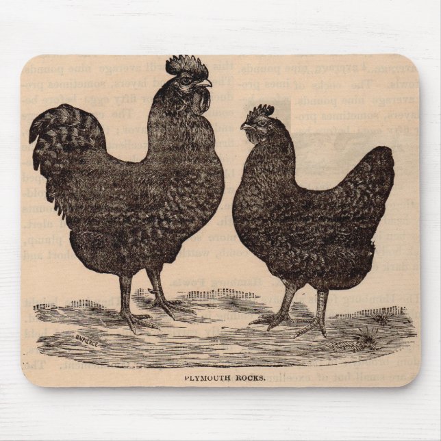 Alfombrilla De Ratón Huésped y gallo de la roca del siglo XIX (Frente)