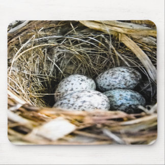 Alfombrilla De Ratón Huevo cardinal Mousepad