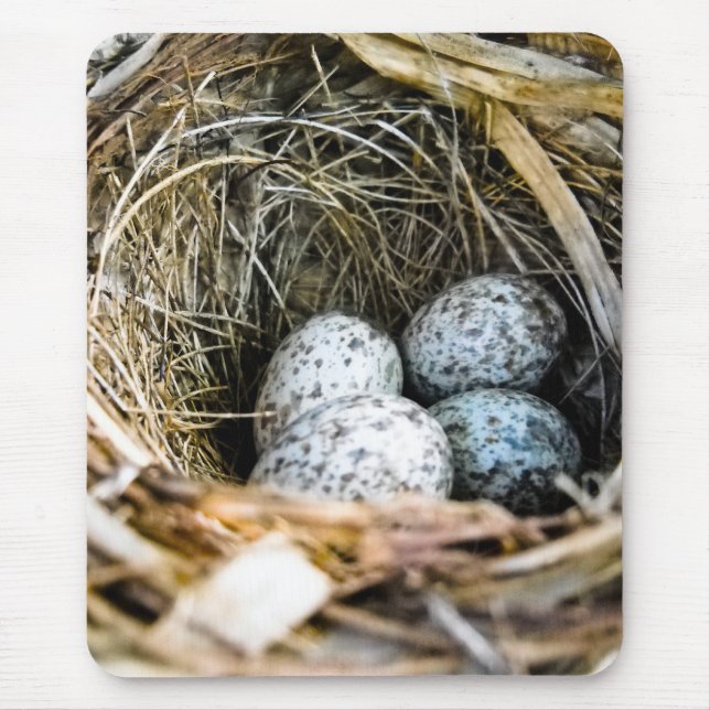 Alfombrilla De Ratón Huevo cardinal Mousepad (Frente)