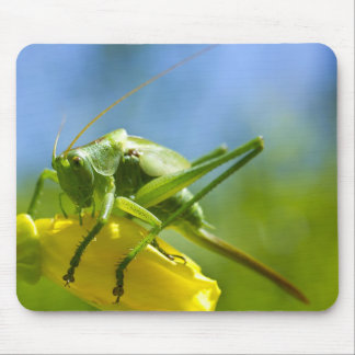 ALFOMBRILLA DE RATÓN HUGO