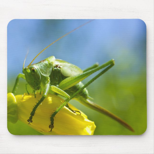 ALFOMBRILLA DE RATÓN HUGO (Frente)