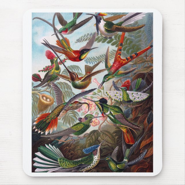 Alfombrilla De Ratón Hummingbird (Frente)