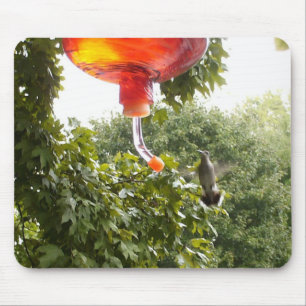 Alfombrilla De Ratón Hummingbird 2 , Mousepad