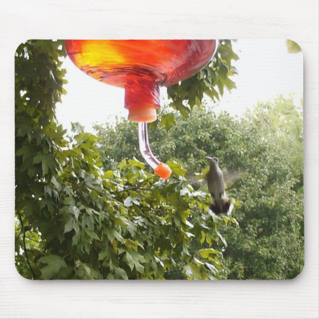 Alfombrilla De Ratón Hummingbird 2 , Mousepad (Frente)