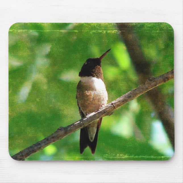Alfombrilla De Ratón Hummingbird Mañana (Frente)