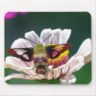 Alfombrilla De Ratón Hummingbird Moth
