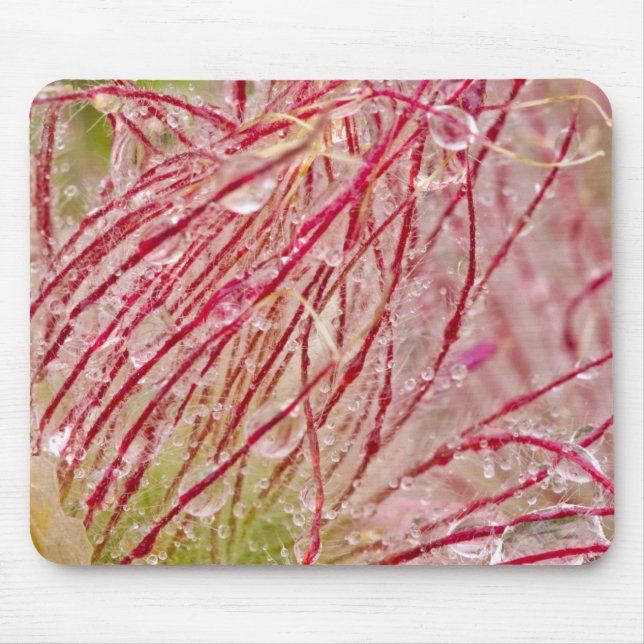 Alfombrilla De Ratón Humo Prairie bajo la lluvia en Theodore (Frente)