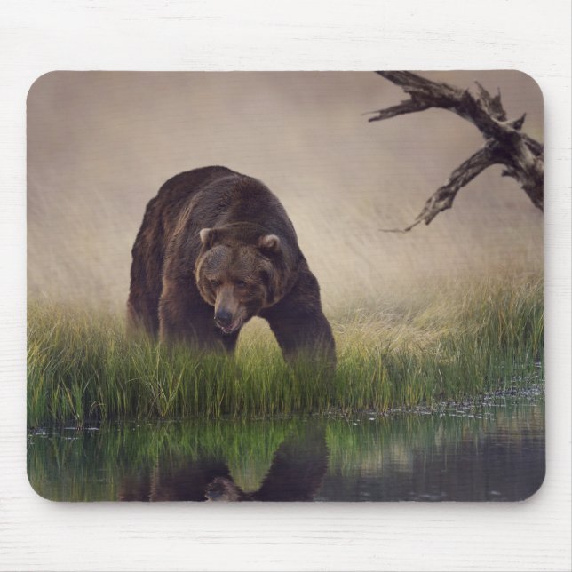 Alfombrilla De Ratón Hunding Brown Bear Mouse Pad (Frente)