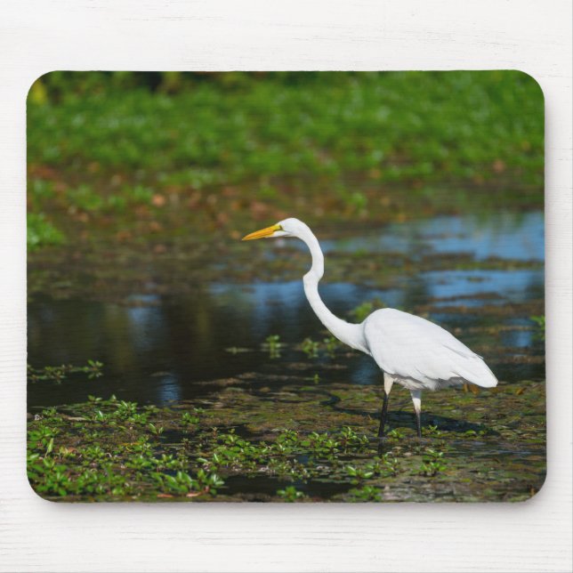 Alfombrilla De Ratón Hunting Egret (Frente)