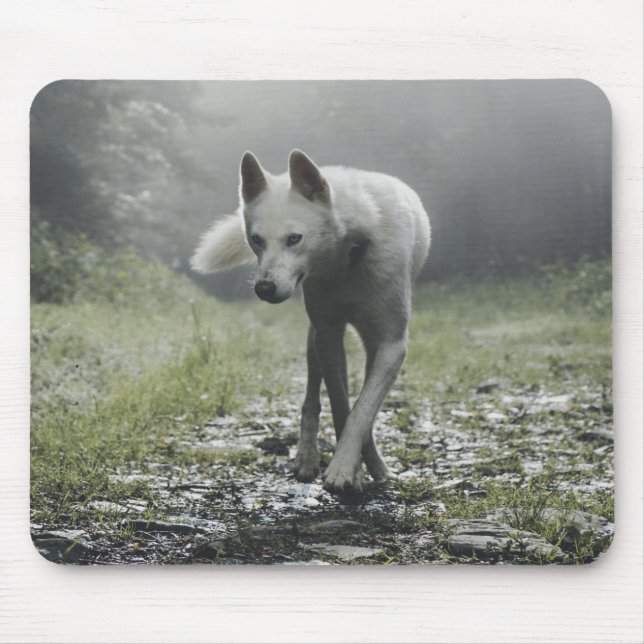 Alfombrilla De Ratón Husky Siberiano Blanco (Frente)