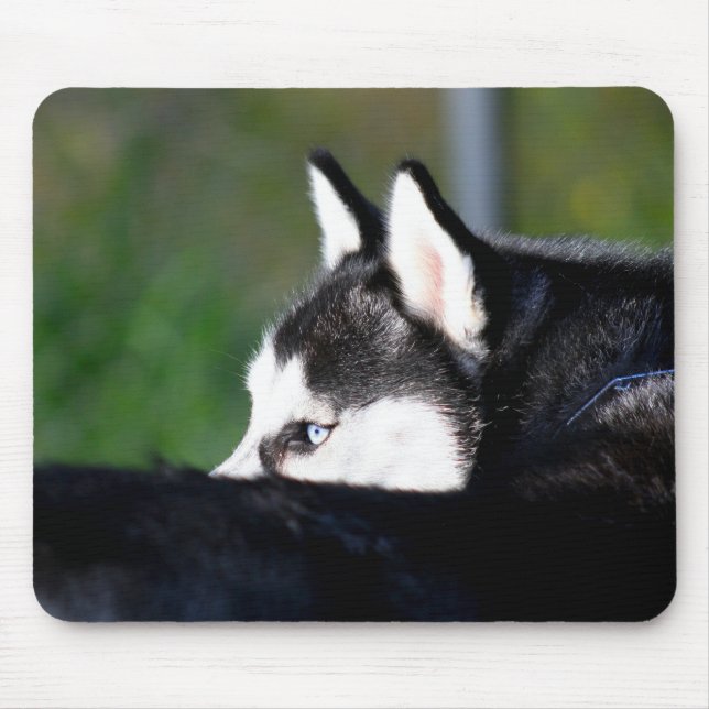 Alfombrilla De Ratón Husky siberiano Mousepad (Frente)