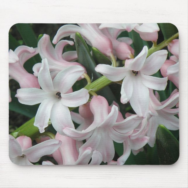 Alfombrilla De Ratón Hyacinths Mousepad (Frente)