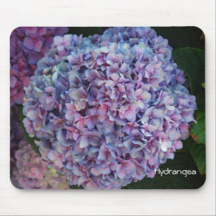 Alfombrilla De Ratón Hydrangea