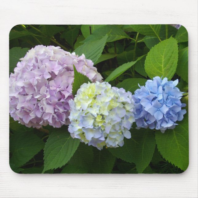 Alfombrilla De Ratón Hydrangeas (Frente)