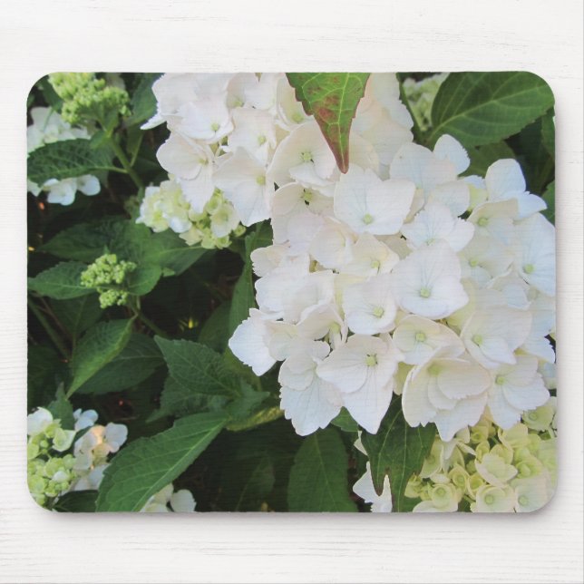 Alfombrilla De Ratón Hydrangeas blancas (Frente)