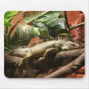 ALFOMBRILLA DE RATÓN I2