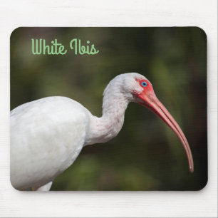 Alfombrilla De Ratón Ibis blanco