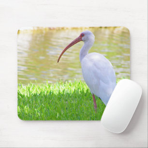 Alfombrilla De Ratón Ibis En Una Foto De Pierna