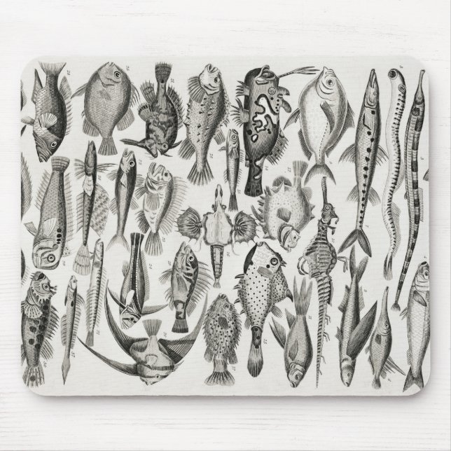 Alfombrilla De Ratón Ichtiología, ictiología, pescado, océano, ictiólog (Frente)