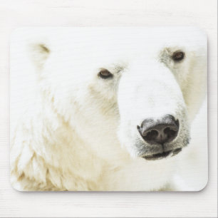 Alfombrilla De Ratón Icy stare de un oso polar