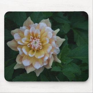 Alfombrilla De Ratón Idea amarilla del regalo del mousepad del flor de