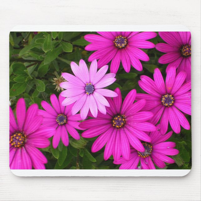 Alfombrilla De Ratón Identidad (mousepad) (Frente)