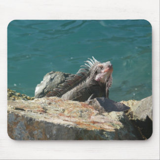 Alfombrilla De Ratón Iguana en St. Thomas