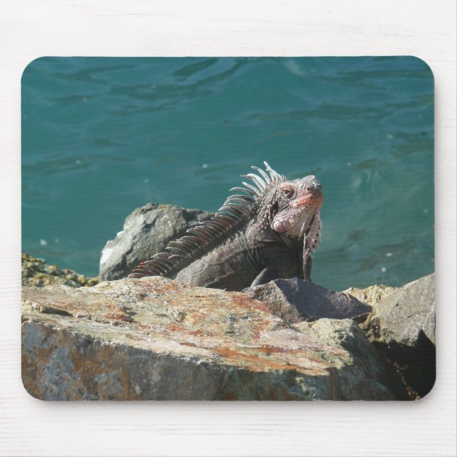 Alfombrilla De Ratón Iguana en St. Thomas (Frente)