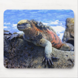 Alfombrilla De Ratón Iguana marina