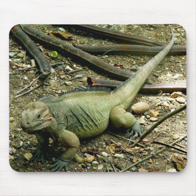 Alfombrilla De Ratón Iguana Mousepad (Frente)