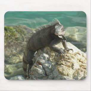 Alfombrilla De Ratón Iguana on the Rocks at St. Thomas