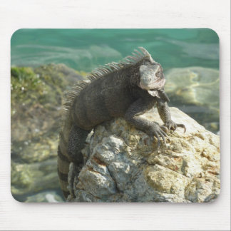 Alfombrilla De Ratón Iguana on the Rocks at St. Thomas