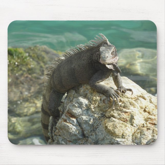 Alfombrilla De Ratón Iguana on the Rocks at St. Thomas (Frente)