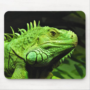 Alfombrilla De Ratón Iguana verde