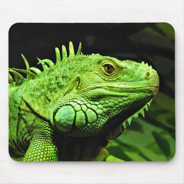 Alfombrilla De Ratón Iguana verde (Frente)
