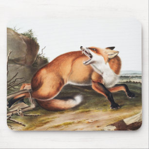 Alfombrilla De Ratón Ilustracion americano de Fox Roja (Vulpes Fulvus)