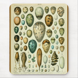 Alfombrilla De Ratón Ilustración antigua de historia natural de huevos