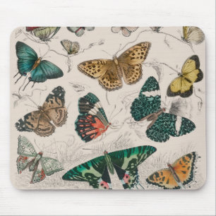 Alfombrilla De Ratón Ilustración antigua de mariposa: Orfebre de 1820